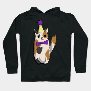 Birthday cat Hoodie